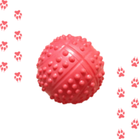 pelota de goma para perros