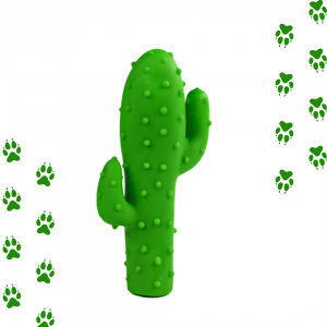 cactus para perros