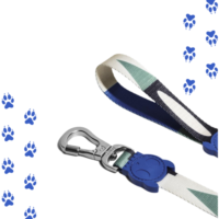 correa zeedog small tarot leash