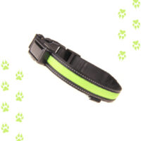 Collar verde led para mascotas