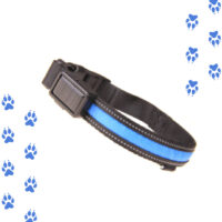 Collar azul led para mascotas