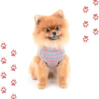 camiseta a rayas rosada para perros o gatos