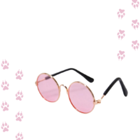 gafas rosadas para mascotas