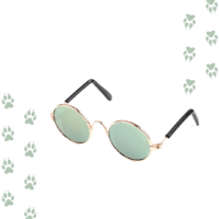 gafas verdes para mascotas
