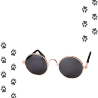 gafas negras para mascotas