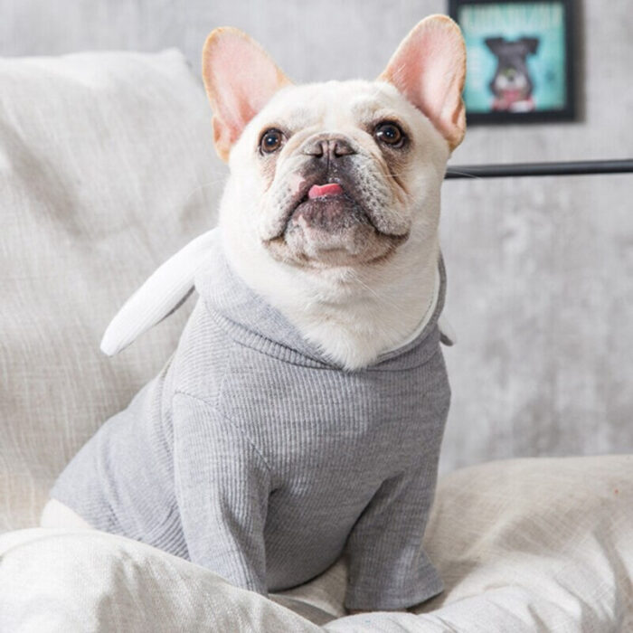 Traje de conejo para perro bulldog frances