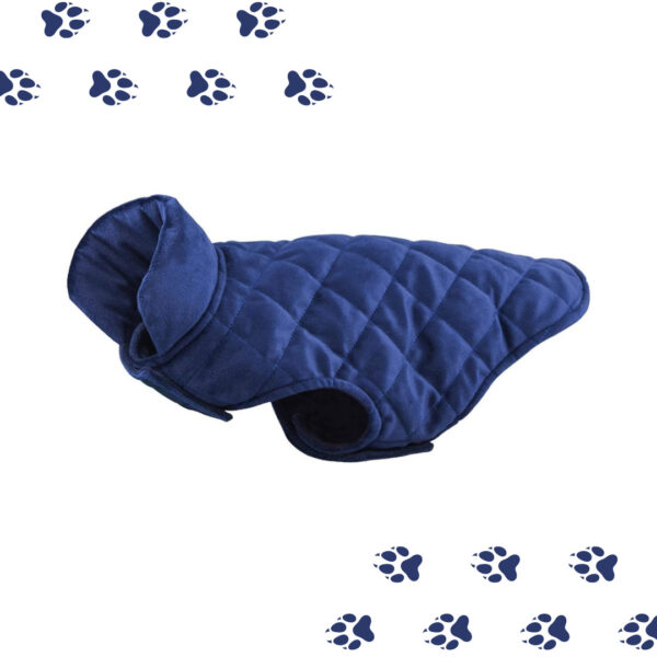 Abrigo de terciopelo color azul para mascotas