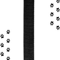 correa color negro para perros zeedog