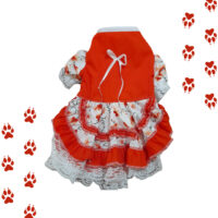 Vestido Huasa Fiestas Patrias Chile Para Mascotas | Talla 2