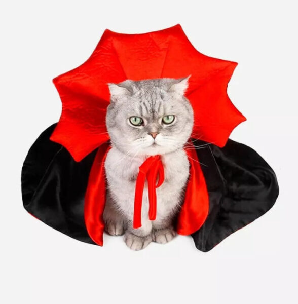Disfraz halloween Dracula mascotas