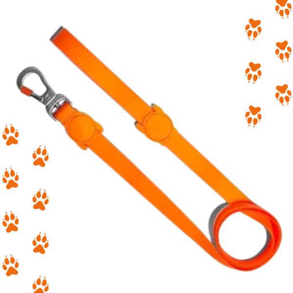 Correa Neopro Green Zeedog | Talla S Color Tangerine