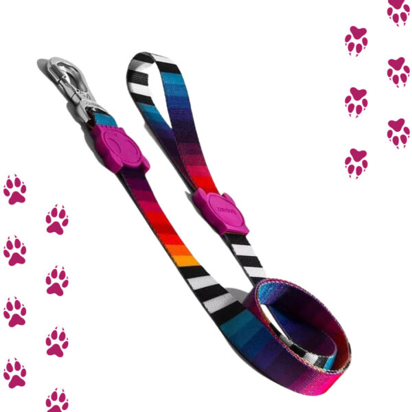 Correa Zeedog Prisma | Leash Large Zee.dog