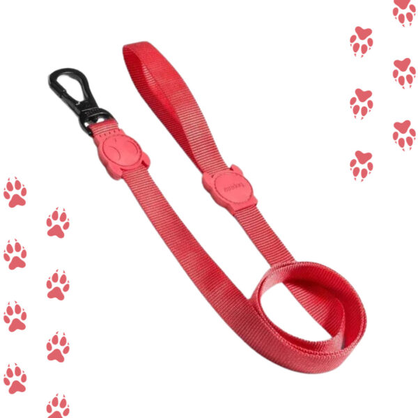 Correa L Solids Neon Coral Zeedog | Large Leash Zee.dog