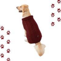 sweater rojo para mascotas