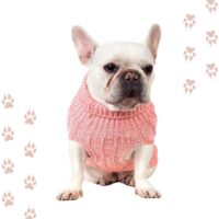 sweater aesthetic para mascotas