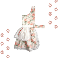 Vestido De Huasa Para Mascotas | Talla L Fiestas Patrias