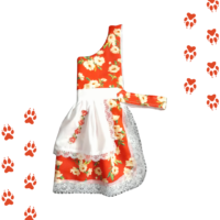 Vestido De Huasa Para Mascotas | Talla L Fiestas Patrias