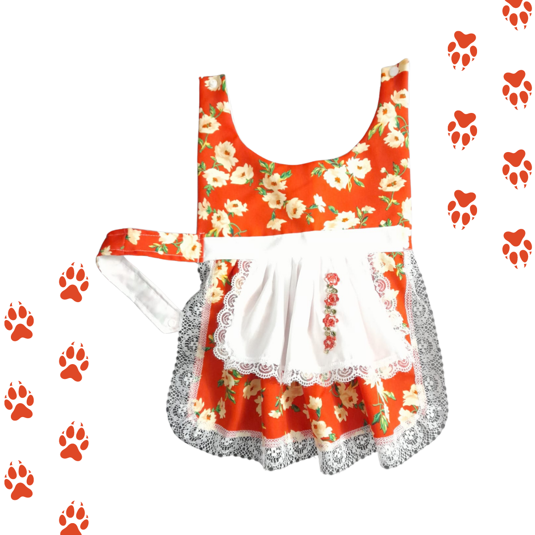 Vestido De Huasa Para Mascotas | Talla L Fiestas Patrias