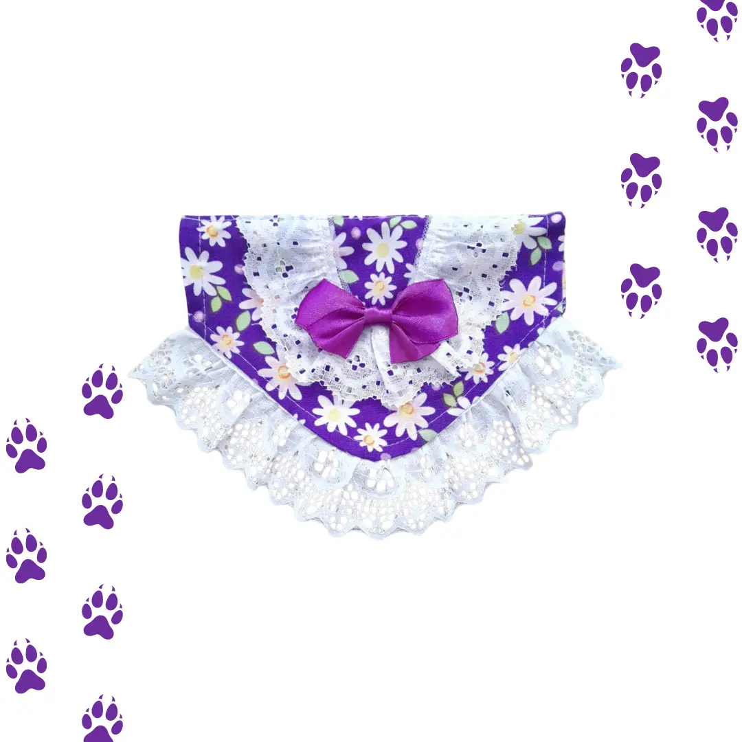 Bandana de huasa para Mascotas