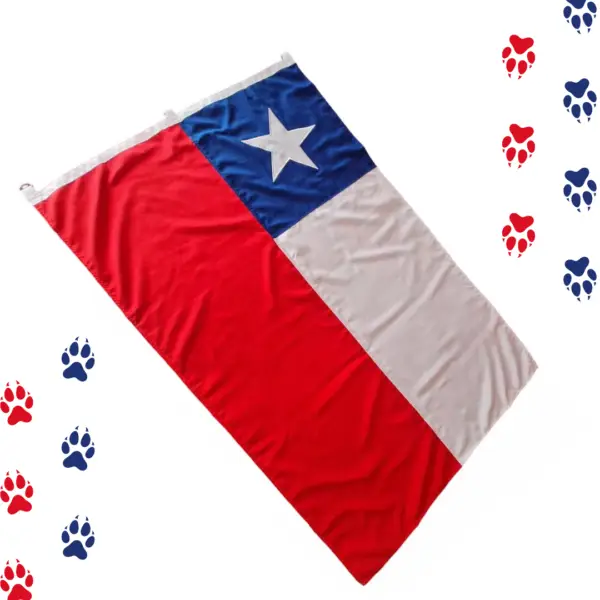 Bandera Chilena Bordada Reforzada Máxima Calidad