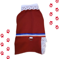 Traje De Huasa Elegante Para Mascotas | Traje Típico Chile Vestido Rojo ( Xs-5xl )