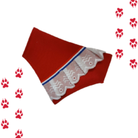 Bandana Fiestas Patrias Para Perros Huasa Elegante ROJA