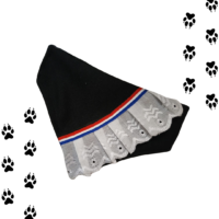 Bandana Fiestas Patrias Para Perros Huasa Elegante NEGRA