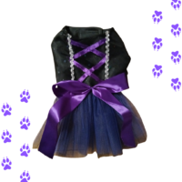 Vestido de Bruja para Mascotas - Halloween