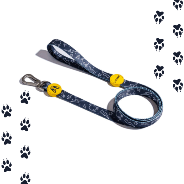Correa Para Perros 1.2 Estampado Trasher