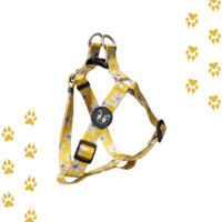 Arnés Para Perro Talla S/ M Ajustable 7 Diseños Modernos - Imagen 5
