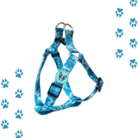Arnés Para Perro Talla S/ M Ajustable 7 Diseños Modernos - Imagen 3