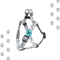 Arnés Para Perro Talla S/ M Ajustable 7 Diseños Modernos - Imagen 2