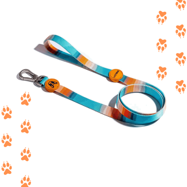 Correa Para Perros 1.2 Estampado Sunset
