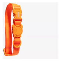 Collar Perro Neopro Tangerine Zeedog Talla L