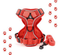 Juego De Arnés Y Correa Para Gatos O Perros - Imagen 18