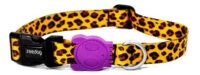 Collar Para Perros Zeedog Diseño Talla Large - Imagen 3