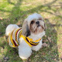 Kimba Eco Chaleco Para Mascotas Perros Gatos Talla L - Imagen 31