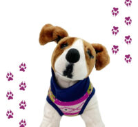 Kimba Eco Chaleco Para Mascotas Perros Gatos Talla M - Imagen 14