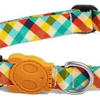 Collar Perro Zeedog Modelo Phantom Talla M | Medium Collar