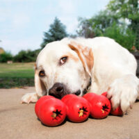 Juguete Rellenable Kong Goodie Ribbon Talla L De 13 A 30 Kg Color Rojo - Imagen 4