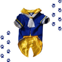 Disfraz Bestia Disney Mascotas Perro O Gato Principe Azul
