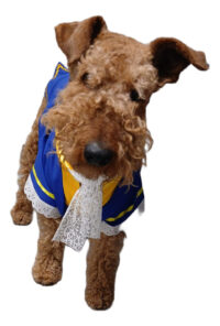 Disfraz Bestia Disney Mascotas Perro Grande Principe Azul - Imagen 5