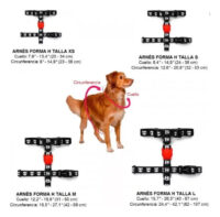 Arnés Para Perro Prisma H-harness Zeedog Talla Xs - Imagen 5