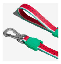 Correa Suave Resistente Perros Zeedog Lola Leash Extra Small - Imagen 3