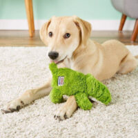 Juguete Chillón Kong Cozie Cocodrilo Talla M Color Verde Dis - Imagen 5