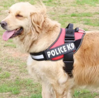Arnes Police K9 Perros Pequeños Medianos Grandes Xs S M L Xl - Imagen 4