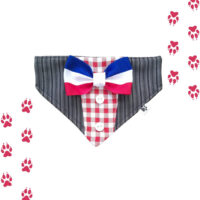 Bandanas Fiestas Patrias Para Mascotas | Talla M