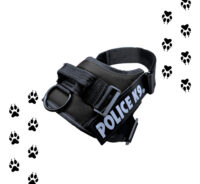 Arnes Police K9 Perros Pequeños Medianos Grandes Xs S M L Xl - Imagen 13