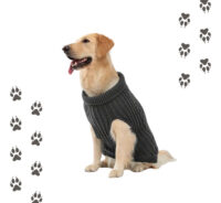 Sweater Para Mascotas | Chaleco Talla Xs Para Perros O Gatos - Imagen 17