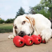 Kong Goodie Ribbon L De 13 A 30 Kg - Imagen 3
